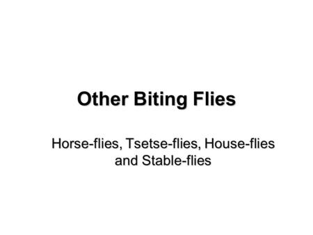 Horse-flies, Tsetse-flies, House-flies and Stable-flies
