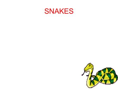 SNAKES.