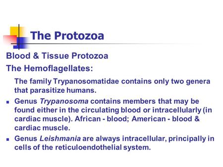 The Protozoa Blood & Tissue Protozoa The Hemoflagellates: