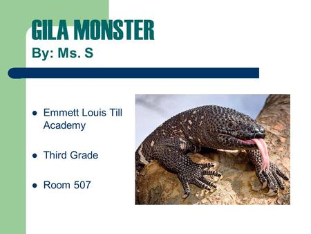 GILA MONSTER By: Ms. S Emmett Louis Till Academy Third Grade Room 507.