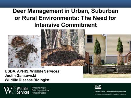 Deer Management in Urban, Suburban or Rural Environments: The Need for Intensive Commitment USDA, APHIS, Wildlife Services Justin Gansowski Wildlife Disease.