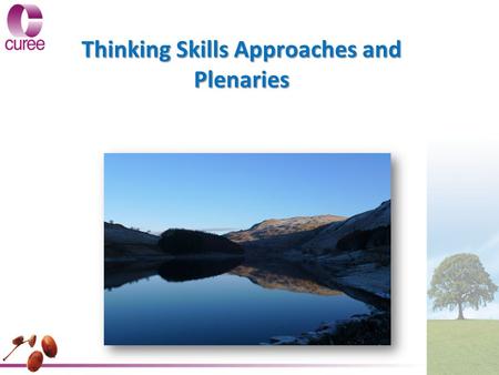 Thinking Skills Approaches and Plenaries. What do we mean by Thinking Skills? Thinking Skills is a method used by teachers to challenge their pupils to: