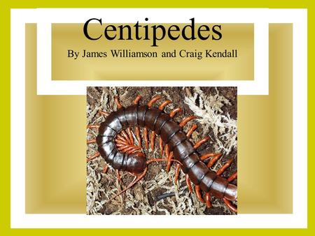 Centipedes By James Williamson and Craig Kendall.