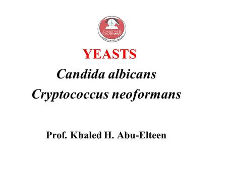 Cryptococcus neoformans Prof. Khaled H. Abu-Elteen