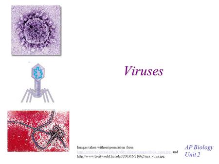 Viruses AP Biology Unit 2 Images taken without permission from  and