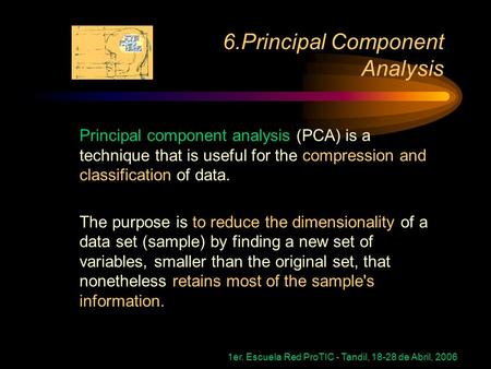 1er. Escuela Red ProTIC - Tandil, 18-28 de Abril, 2006 Principal component analysis (PCA) is a technique that is useful for the compression and classification.