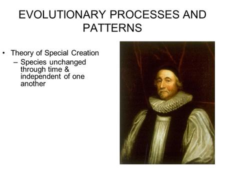 EVOLUTIONARY PROCESSES AND PATTERNS Theory of Special Creation –Species unchanged through time & independent of one another.