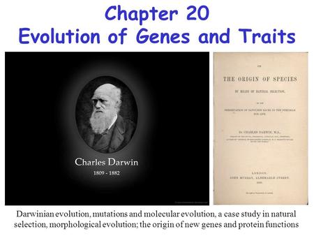 Evolution of Genes and Traits