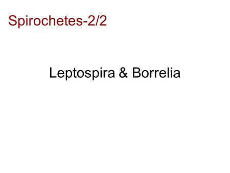 Leptospira & Borrelia Spirochetes-2/2. Key words Borrelia –Vincent’s angina –Recurrent fever –Lyme Disease Ixodide tick Leptospira –L. icterohaemorrhagiae.