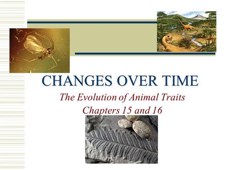 The Evolution of Animal Traits Chapters 15 and 16