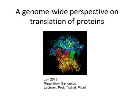 A genome-wide perspective on translation of proteins Jan 2012 Regulatory Genomics Lecturer: Prof. Yitzhak Pilpel.