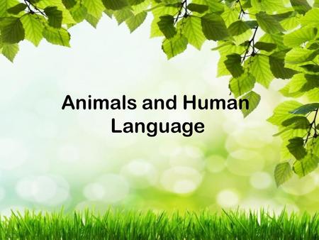 Animals and Human Language