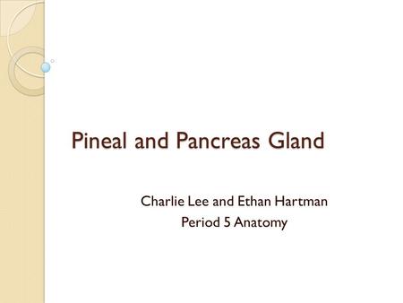 Pineal and Pancreas Gland