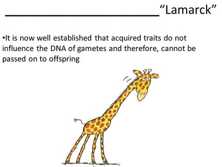 _______________________“Lamarck” It is now well established that acquired traits do not influence the DNA of gametes and therefore, cannot be passed on.