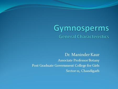 Gymnosperms General Characteristics