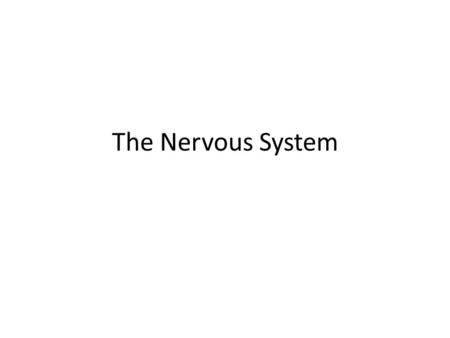 The Nervous System. I. General organization of nervous system A.CNS 1. brain 2. spinal cord B. PNS 1. sensory 2. motor a. Somatic b. ANS -sympathetic.