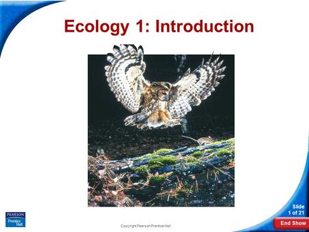 End Show Slide 1 of 21 Copyright Pearson Prentice Hall Ecology 1: Introduction.