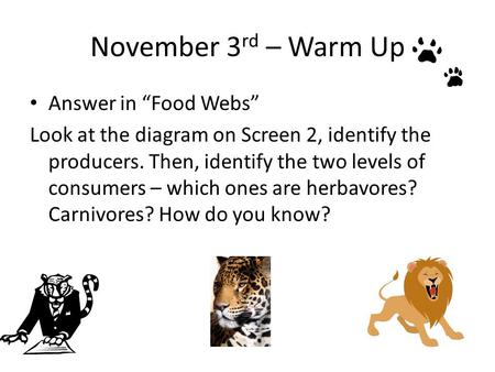 November 3 rd – Warm Up Answer in “Food Webs” Look at the diagram on Screen 2, identify the producers. Then, identify the two levels of consumers – which.