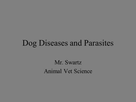 Dog Diseases and Parasites Mr. Swartz Animal Vet Science.
