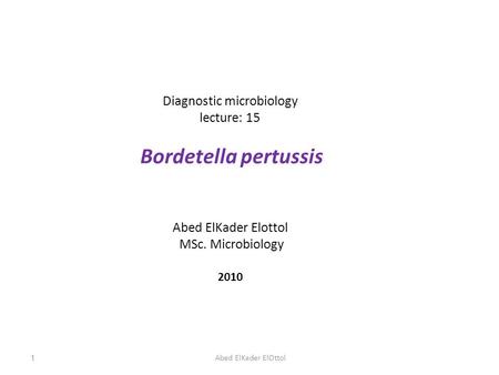 Diagnostic microbiology lecture: 15 Bordetella pertussis Abed ElKader Elottol MSc. Microbiology 2010 1Abed ElKader ElOttol.