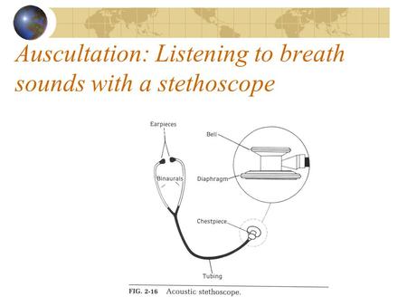 Auscultation: Listening to breath sounds with a stethoscope