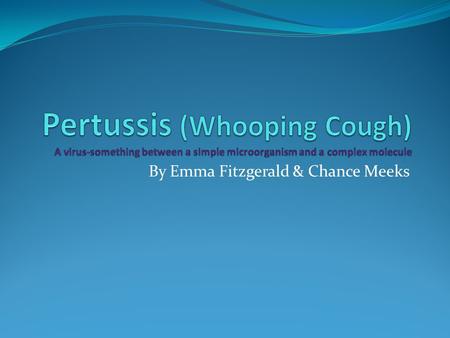 By Emma Fitzgerald & Chance Meeks Pertussis Symptoms Pertussis begins with cold like symptoms. runny nose fever cough Those with Pertussis will often.