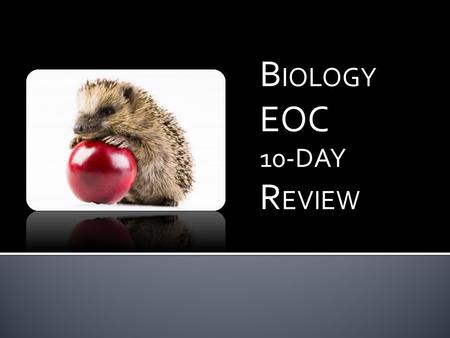 B IOLOGY EOC 10-DAY R EVIEW. BIOLOGICAL PROCESSES AND SYSTEMS TEKS B.10A, B.10B.
