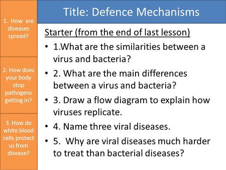 Starter (from the end of last lesson) 1.What are the similarities between a virus and bacteria? 2. What are the main differences between a virus and bacteria?