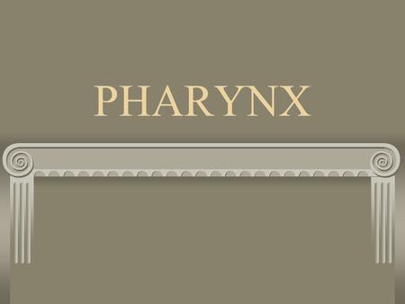 PHARYNX. Plays a part in both digestive system and respiratory system.