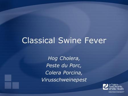 Classical Swine Fever Hog Cholera, Peste du Porc, Colera Porcina, Virusschweinepest.