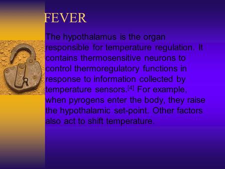 FEVER The hypothalamus is the organ responsible for temperature regulation. It contains thermosensitive neurons to control thermoregulatory functions in.