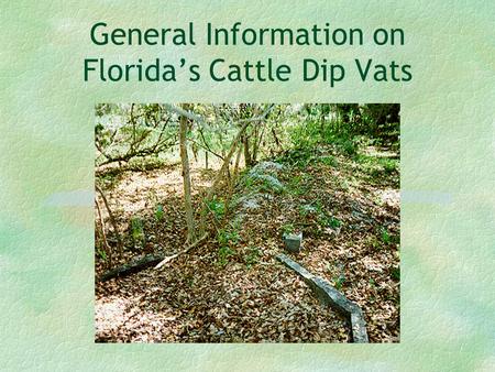 General Information on Florida’s Cattle Dip Vats.