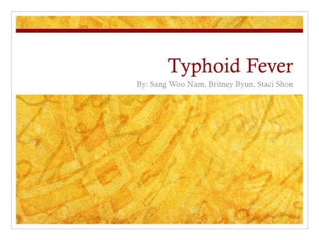 Typhoid Fever By: Sang Woo Nam, Britney Byun, Staci Shon.