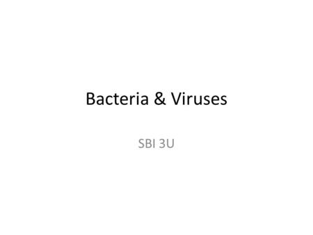 Bacteria & Viruses SBI 3U.