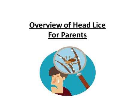 Overview of Head Lice For Parents