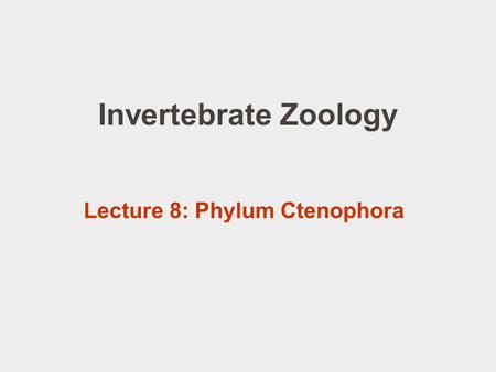 Invertebrate Zoology Lecture 8: Phylum Ctenophora.