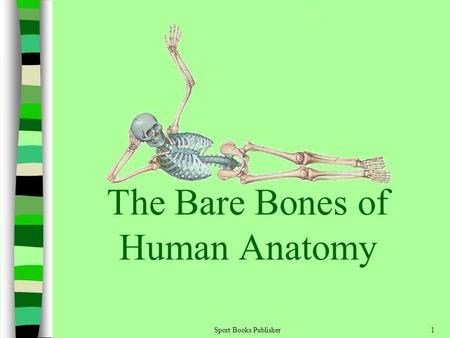The Bare Bones of Human Anatomy