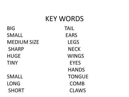 KEY WORDS BIG TAIL SMALL EARS MEDIUM SIZE LEGS SHARP NECK HUGE WINGS TINY EYES HANDS SMALL TONGUE LONG COMB SHORT CLAWS.