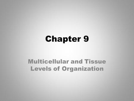 Multicellular and Tissue Levels of Organization
