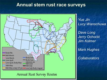Annual stem rust race surveys Yue Jin Lucy Wanschuwa Dave Long Jerry Ochocki Jim Kolmer Mark Hughes Collaborators.