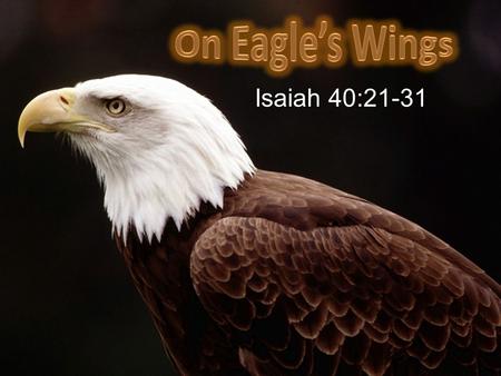 On Eagle’s Wings Isaiah 40:21-31.