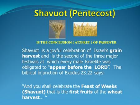 Shavuot is a joyful celebration of Israel’s grain harvest and is the second of the three major festivals at which every male Israelite was obligated to.