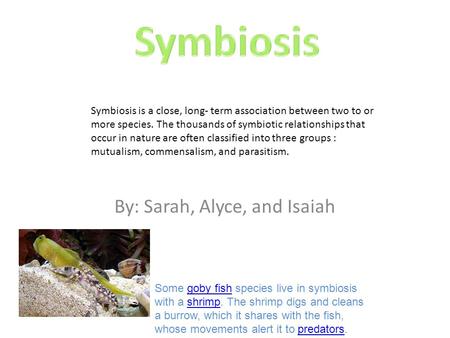 By: Sarah, Alyce, and Isaiah Symbiosis is a close, long- term association between two to or more species. The thousands of symbiotic relationships that.