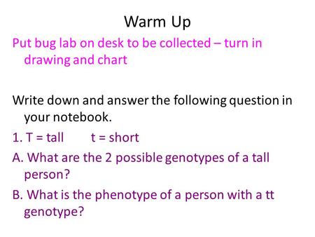 Warm Up Put bug lab on desk to be collected – turn in drawing and chart Write down and answer the following question in your notebook. 1. T = tall t =