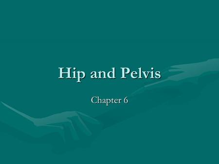 Hip and Pelvis Chapter 6. Hip AP Facility IdentificationFacility Identification Correct Marker PlacementCorrect Marker Placement No Preventable ArtifactsNo.