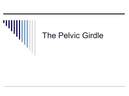 The Pelvic Girdle.