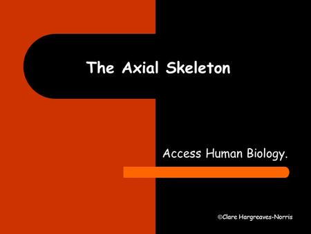 The Axial Skeleton Access Human Biology. Clare Hargreaves-Norris.