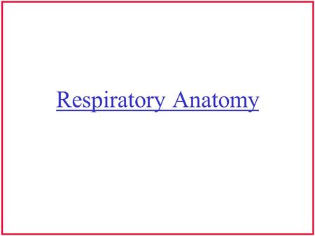 Respiratory Anatomy.