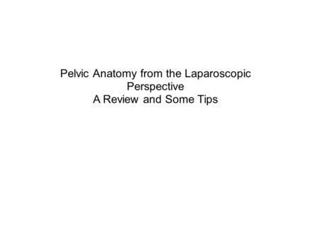 Pelvic Anatomy from the Laparoscopic Perspective