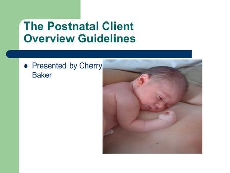 The Postnatal Client Overview Guidelines Presented by Cherry Baker.